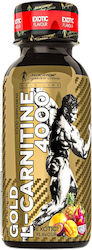 Kevin Levrone Gold L-Carnitine Kevin Levrone Gold L-Carnitine