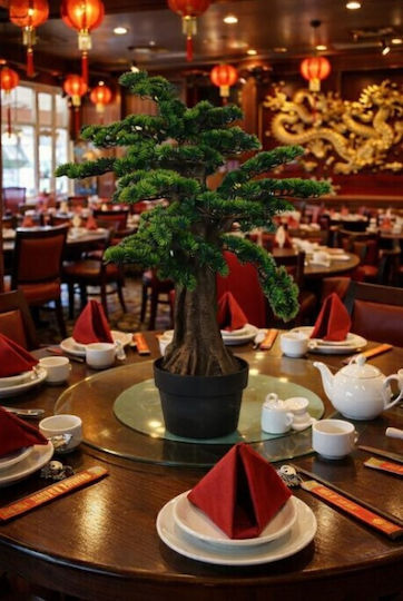 Bonsai Outdoor Tree ForAll