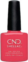 CND Shellac 14