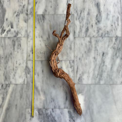 Curl Wood 14