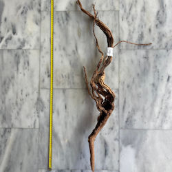 Curl Wood 15