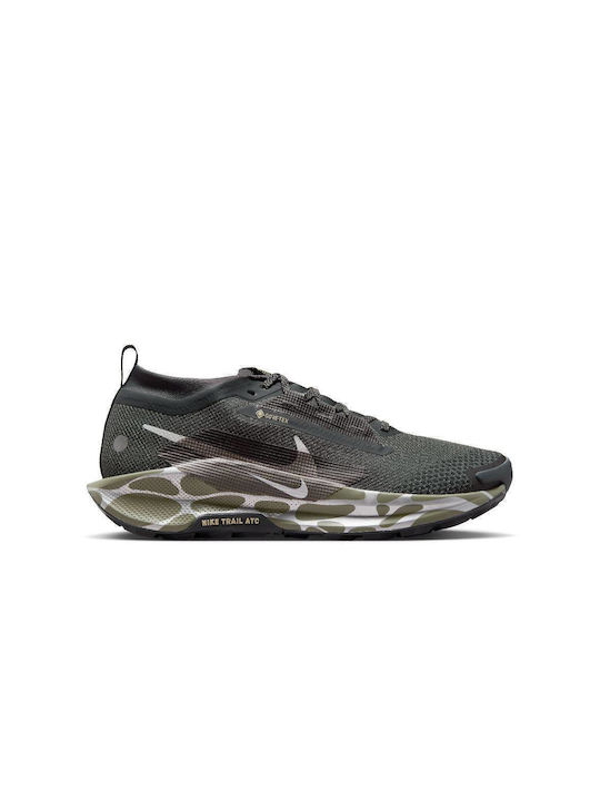 Nike Pegasus Trail 5 GTX Ανδρικά Trail Gore-Tex Anthracite / Reflect Silver