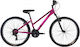 Alpina 24" Kids Mountain Bike Purple
