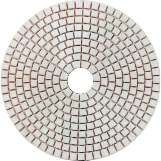Proline Diamantbeschichtete Schleifscheibe Glänzend Gr.50 125mm Keramische