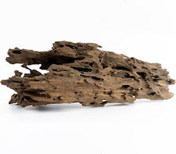 Oasis Dragon Wooden Aquarium Decoration Per Piece