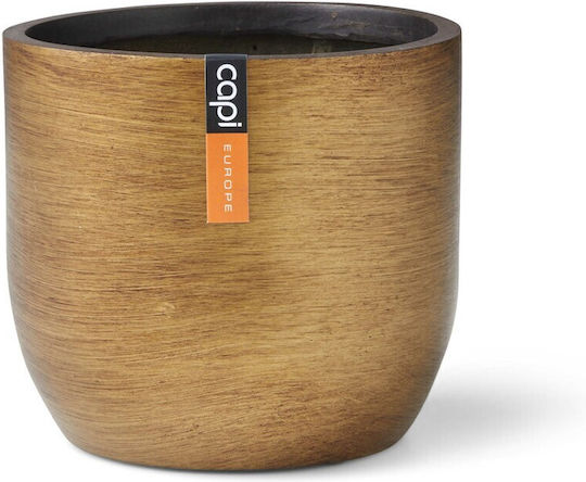 Planter Pot Planter Pot