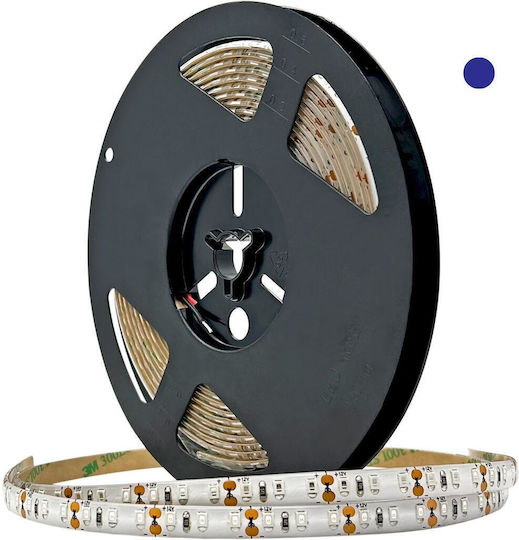 Geyer Waterproof LED Strip 14.4w 12V Blue Light 5m