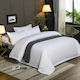 Mattex Hotel Sheet Satin Stripe 2cm Alkyoni 160x280cm 100% Cotton Combed Tc300
