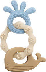 Amek Toys Μασητικό Οδοντοφυΐας 3τμχ