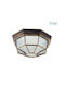 Vivalux Berlin Outdoor Ceiling Light E27 VIV004265