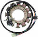 Ricks Motorsport Electric Spulen Motorrad 21-648