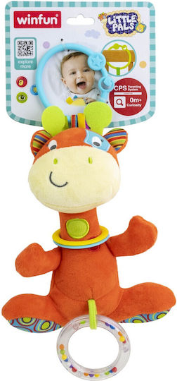 Winfun Rassel für 0++ Monate
