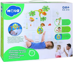Hola Toys Hängendes Babyspielzeug Hola Toys Hängendes Babyspielzeug