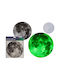 Decorative Moon Wall Sticker Phosphorescent Ootb 20cm