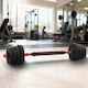 vidaXL Алтър 1x 30кг