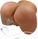 Crazy Bull Realistic Masturbator Butt / Vagina με Δόνηση D-243861