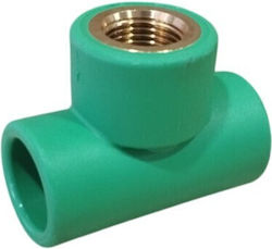 Rohr-T-Stück Ppr Weiblich 20x1/2''x20 Aquatherm