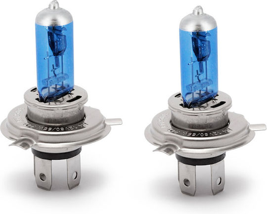CarGuard Lampen Auto H4 Halogen Weiß 12V 55W 2Stück