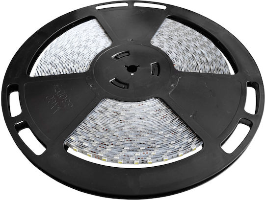 Rebel LED Лента 12V 1м с Захранване