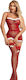 Roza 60949 – Christmas Sexy Lace Bodysuit Set & Thigh High Stockings