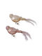 MSA Weihnachtsbaumschmuck 2/ass Vogel Pilly Gold 18x4,5x6cm Glasartig