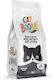 Cat Boom Nisip pentru Pisici 5lt