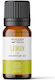 Organic Lemon Essential Oil 5ml Wooden Spoon