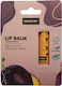 Sence Lippen Balsam Plum 5.5gr