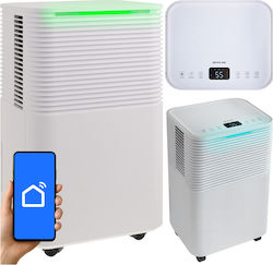 ZY12643QWS98 Cu Wi-Fi 12Lt/Zi ZY12643QWS98 Cu Wi-Fi 12Lt/Zi