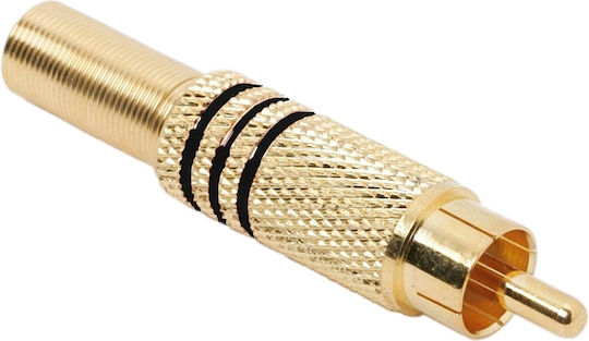 Set 10 Prize RCA Placate Cu Aur Pentru Cabluri Până La 6 Mm