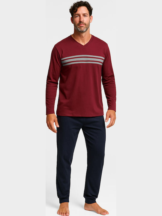 Cherry Bordeaux