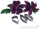 Clematis Flower Cutter 3 Pieces Lumea