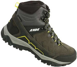 Ande Men's Hiking Shoes Gray