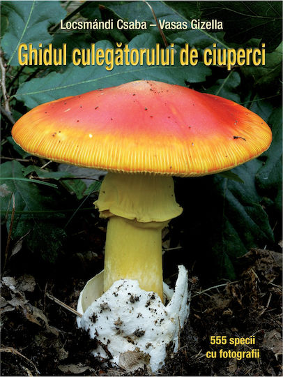 Ghidul Culegatorului De Ciuperci - 555 De Specii - Locsmandi Csaba Â€“ Vasas Gizella
