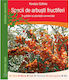 Specii De Arbusti Fructiferi In Gradini Si Plantatii Comerciale - Kovacs Szilvia