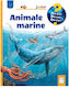 Animale Marine - Anita Van Saan