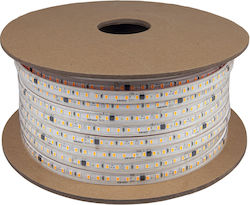Eurospot Waterproof LED Strip 220V Cold White 5m Eurospot Waterproof LED Strip 220V Cold White 5m