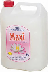 Maxi Kommerzielle Handreiniger Maxi Kommerzielle Handreiniger