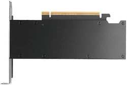 PNY RTX Pro 2000 Blackwell 16GB
