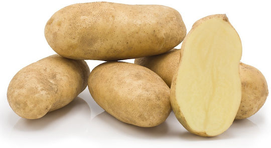 AgriMore Samen Für Kohl