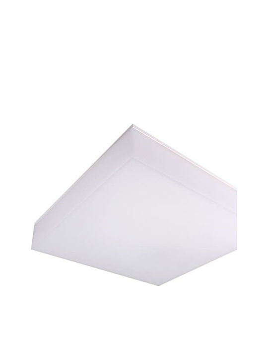 Redled Стенен Външен Плафон LED IP54 3W с Регулируемо бяло Светлина