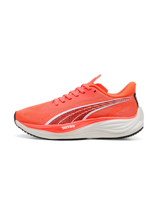 PUMA Velocity Nitro 3 Women's Sport Shoes Runni...