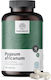 Healthy World Pygeum 120 caps