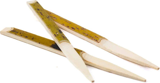 Willow Skewer Wooden 12cm 100pcs Cocktail & Appetizer Sticks
