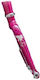 Pegas Mezin 16 Fork Pink