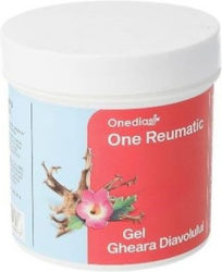 Gel Gheara Diavolului Onedia 250 Ml