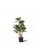 Supergreens Plantă Artificială Iedera Diavolului Verde Auriu 65 Cm