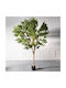 Supergreens Künstlicher Zitronenbaum ''natural'' Gelbe 280 cm