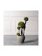 Supergreens Copac Artificial Bonsai Moss ''Ciupercă'' Verde Quintuple 90 Cm