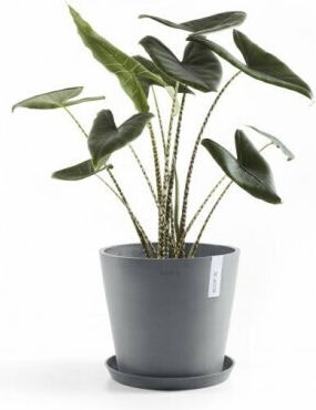 Ecopots Amsterdam Γλάστρα Μπλε-γκρι 40x40εκ.